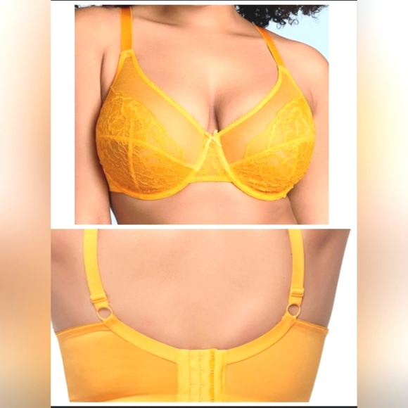 Nwt HSIA Bra Plus Size Underwire Lace Unlined Non Padded Full Coverage - Picture 1 of 5